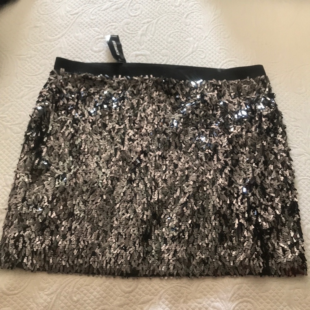 Express skirt nwt